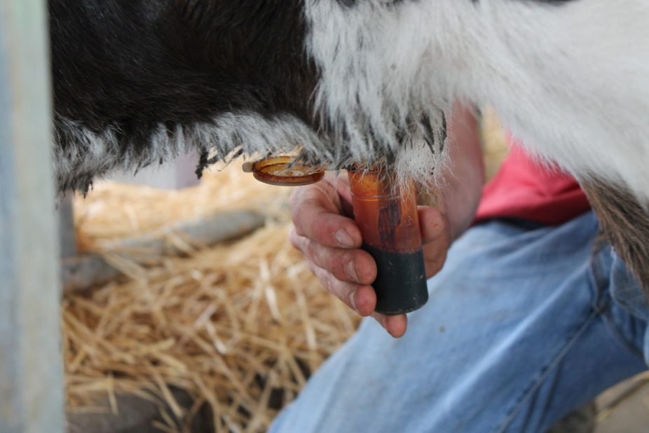 Sometimes it is good to have a sense of what is considered “normal” for