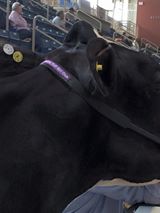 11224262_936010933112472_6395563021810761588_n