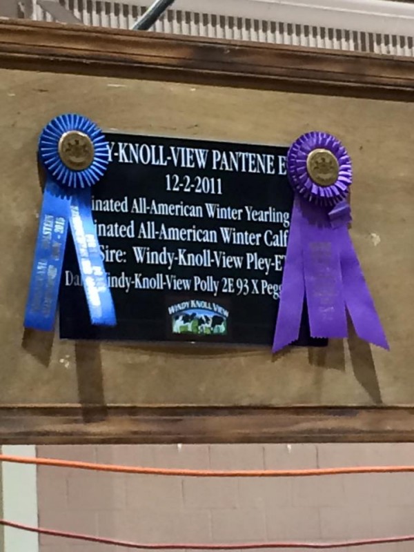 12002923_936010869779145_4702166185568934407_n