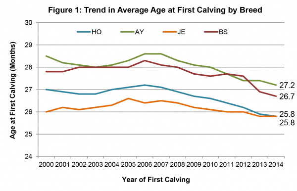 Age at First Calving and Profitability figure 1