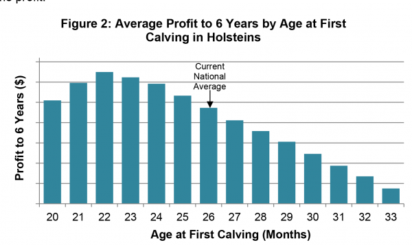 Age at First Calving and Profitability figure 2