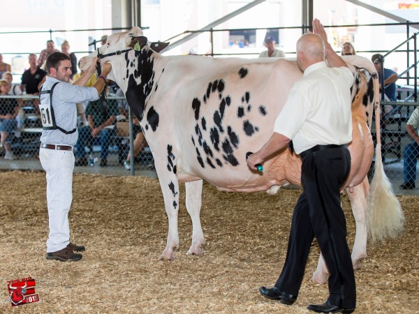 ARETHUSA SANCHEZ DICE Senior & Grand Champion - Northeast Fall National 2015 Arethusa Farm Dairy