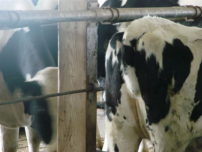 Wednesday , October 28 th , 2015