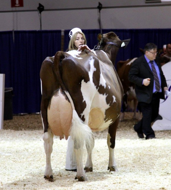 Photo by Ian Porteous