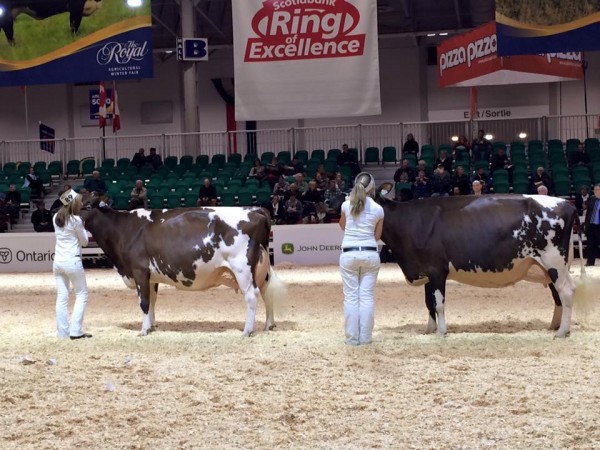 Photo by Amélie Poulin