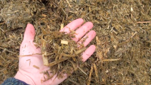 Barley-silage-mix[1]