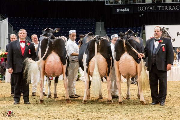 GRAND CHAMPION CHARWILL ATTIC MARCY (ATTIC), MILKSOURCE GENETICS, WI RESERVE GRAND CHAMPION MS GOLDWYN ALANA (GOLDWYN), FERME FORTALE, ISABELLE VERVILLE & PIERRE BOULET, QC HM GRAND CHAMPION LOYALYN GOLDWYN JUNE (GOLDWYN), DIAMOND GENETICS AUSTRALIA, KEVIN DOBEREINER & PIERRE BOULET, AUS, OH & QC