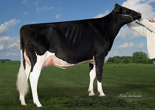 Duckett-SA Atwd Farrah EX94