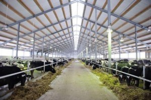 68a6b9ac1b6c590daef63b614b8_prev[1]