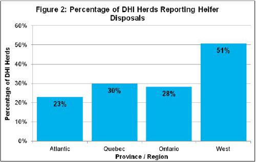 Screen-Shot-2015-12-02-at-6.43.51-PM-1[1]