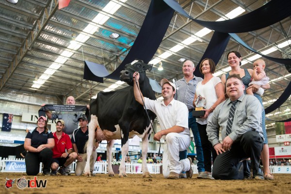 Paringa Fever Opa Grand Champion - International Dairy Week 2016 Paringa Holsteins