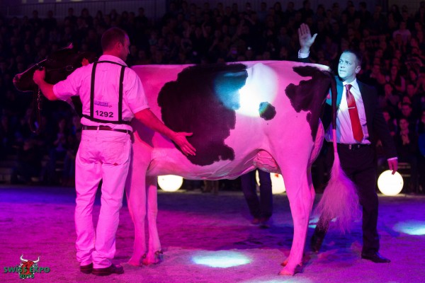 Du Bon Vent INKAPI Intermediate Champion - Swiss Expo Holstein Show 2016 All Beltramino / Bag2 / Al.Be.Ro. / Bach/Sarreri (Italia)