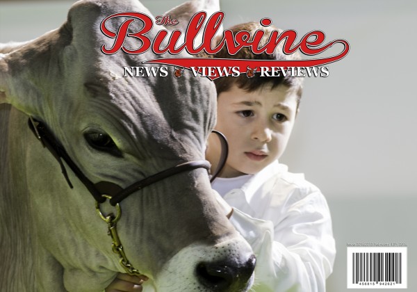 Bullvine Cover 20160213
