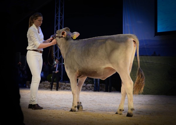 12967386_10153388672230899_2525766458434539361_o