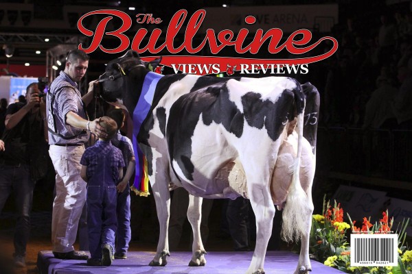 Bullvine Cover 2016-05-28