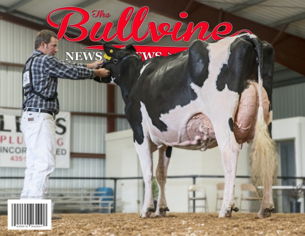 Bullvine Cover 20160522