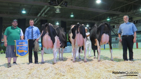 13735048_10153731462420418_3682204390988465376_o[1]