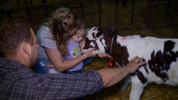 Chris Ryan, his wife, and young daughter visit with a calf at a neighbour's farm in Riceville, Ontario, July 25, 2016