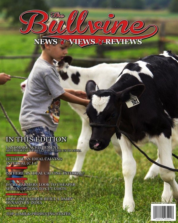 Bullvine Cover 2016-08-27