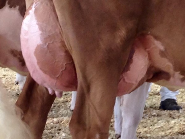 14344143_10153960029501169_532850129234050280_n