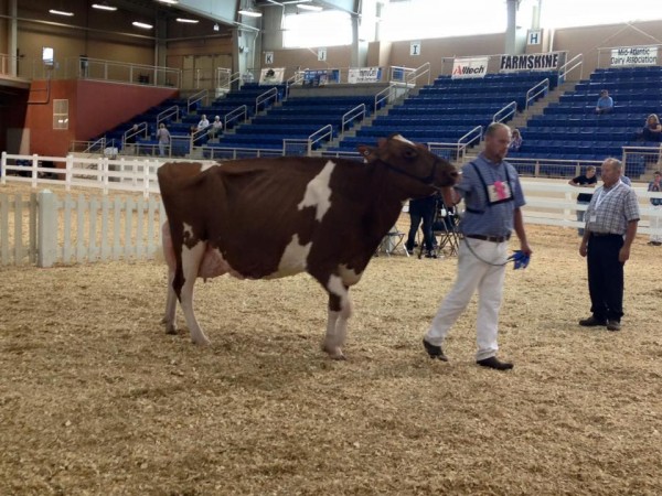 14359268_10153960108651169_2745624983906719800_n