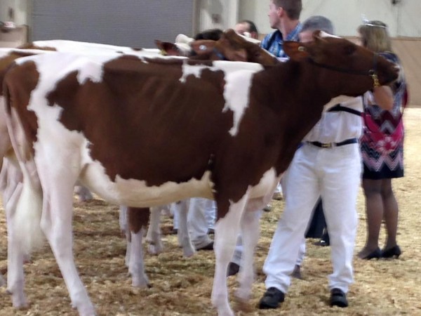 14368675_10153959824011169_5158505896516249633_n