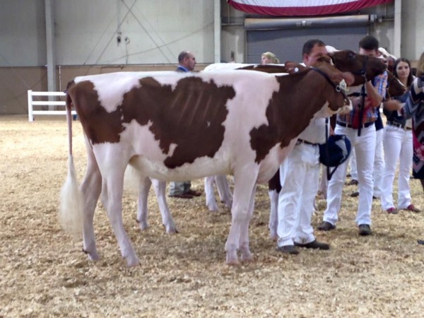 14368838_10153959865471169_2307723524454034861_n