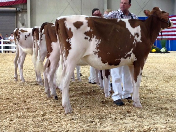 14368866_10153959801246169_1555294463582560732_n