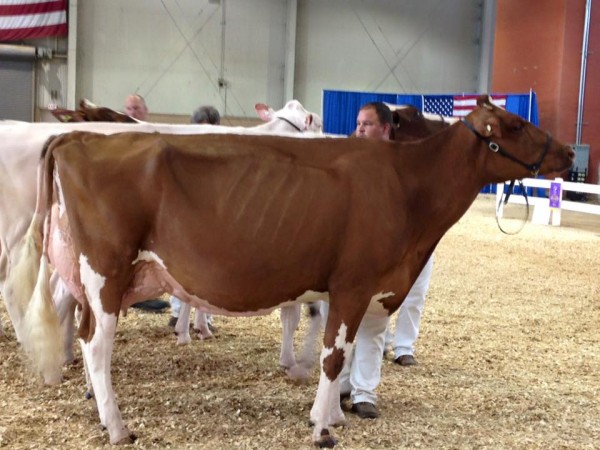 14369857_10153960096516169_6564290500173119204_n