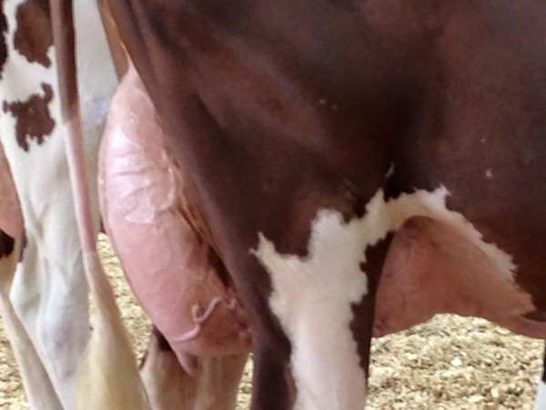 14390999_10153960084761169_8808004547799686744_n