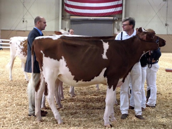 14433182_10153959844751169_4562306036984970219_n