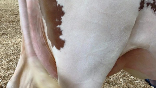 14446022_10153959969806169_3714219787207912743_n