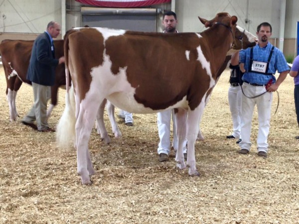 14448821_10153959879811169_7855391569260294354_n