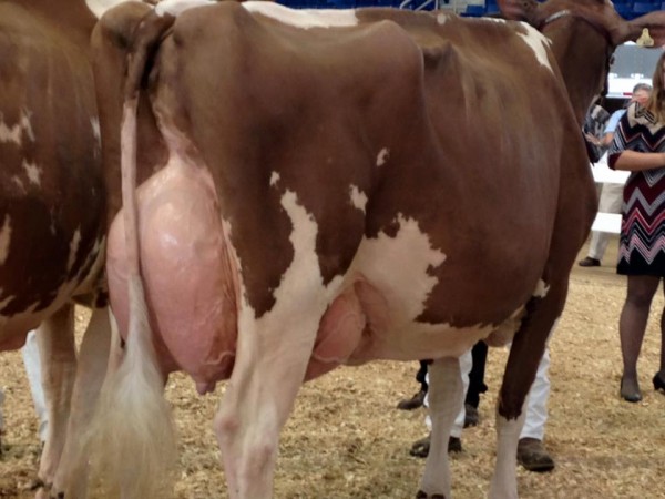 14448927_10153960118556169_2013393156994877397_n