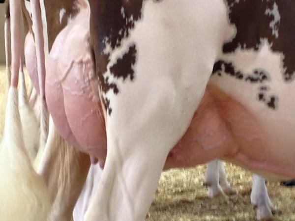 14449867_10153959989851169_7695534627076440861_n