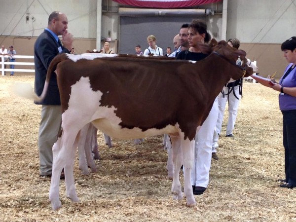 14449877_10153959773571169_7796362212836959495_n