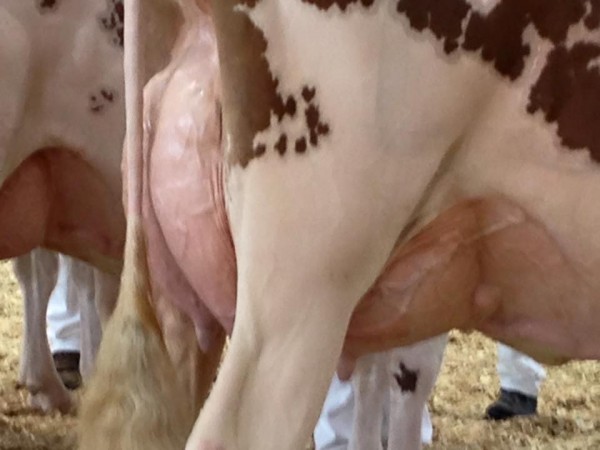 14449927_10153960056956169_3878305189795884899_n