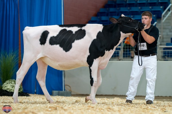 Heart&Soul Sammy Ricki 1st place Summer Yearling Heifer Mathew Boop 