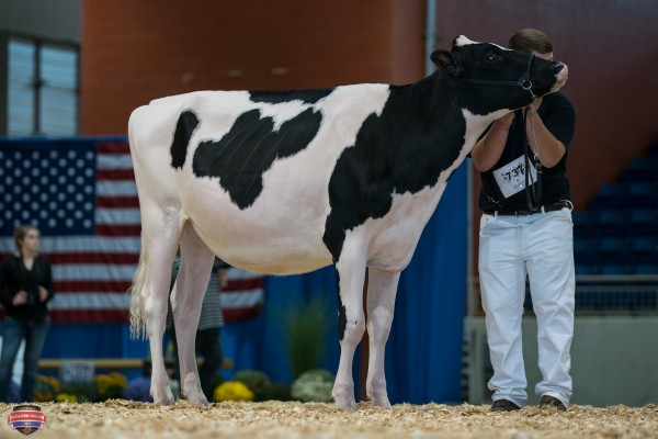 Heart&Soul Sammy Ricki Junior Champion Mathew Boop