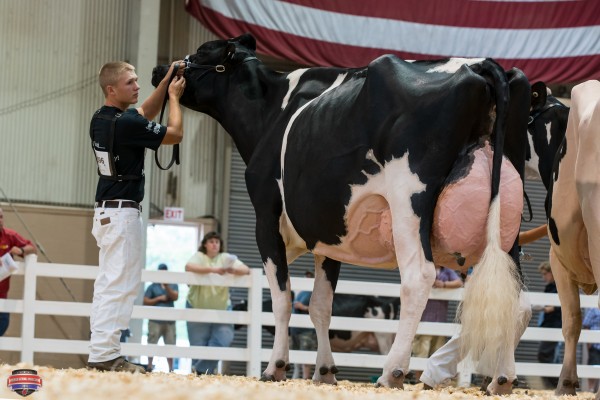 PENN-GRA DOLMAN DALLAS 1st place Five Year Old Coy Campbell