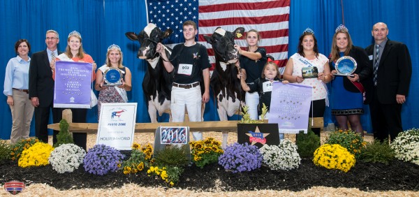 Grand Champion: J&K-VUE GOLDWYN GLAMOUR Douglas Boop Reserve Grand Champion: WINDY KNOLL PANTENE Reese Burdette