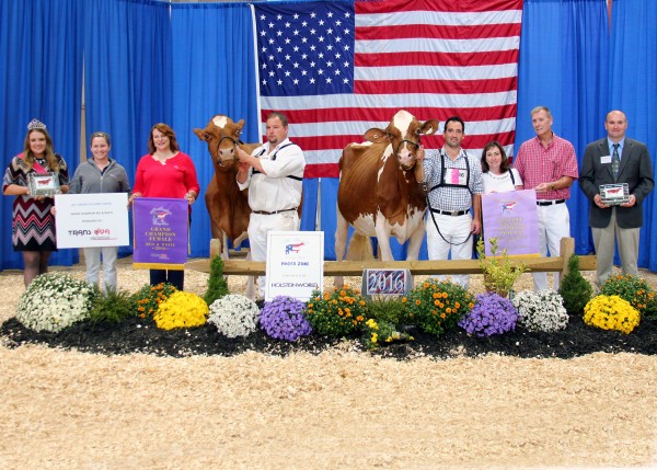 Congratulations to Frank Borba, Mike Berry and Triple-T Holsteins of North Lewisburg, Ohio, for winning Grand Champion Red and White of the 2016 All American Open Red and White Show, with Meadow Green Abso Fanny–Red–ET, on Sept. 20 at the Farm Show Complex and Expo Center in Harrisburg, Pa. Craig Walton of Walkersville, Md. took home Reserve Grand Champion Red and White honors with Patience Detox Della-Red. (L-R) Bess Laing with Trans Ova; Terry Perotti; Nathan Thomas; Joel Phoenix; Sabra Hart; Robb Hart and Judge Lynn Harbaugh