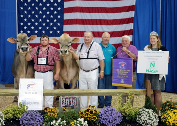 Congratulations to Kyle Barton of Ancramdale, N.Y., for winning Intermediate Champion Brown Swiss of the 2016 All American Open Brown Swiss Show with Cutting Edge T Delilah, on Sept. 21 at the Farm Show Complex and Expo Center in Harrisburg, Pa. Lauri Beggs of Ogdensburg, N.Y. took home Reserve Intermediate Champion Brown Swiss honors with Cutting Edge Thunder Faye. (L-R): John Wright on halter, Wayne Sliker on halter, Ken Main, Peter Vail and PA Alternate Dairy Princess Lydia Szymanski.