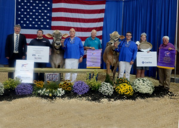 Congratulations to Kyle Barton of Ancramdale, N.Y., for winning Grand Champion Brown Swiss of the 2016 All American Open Brown Swiss Show with Cutting Edge T Delilah, on Sept. 22 at the Farm Show Complex and Expo Center in Harrisburg, Pa. Ken Main and Peter Vail of Copake, N.Y., took home Reserve Grand Champion Brown Swiss honors with Fulp Agenda Snickers. (L-R): Judge Callum McKiven, Dustin Horning representing Hoober Feeds, Bill Taylor on halter, Ken Main, Kyle Barton, PA Alternate Dairy Princess Lydia Szymanski, and Peter Vail.