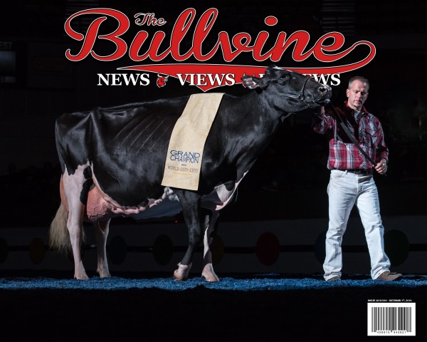 bullvine-cover-2016-10-01