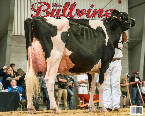 bullvine-cover-2016-10-22