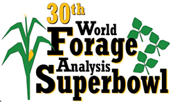 world_forage_superbowl-22711