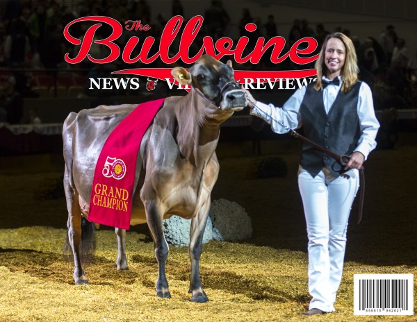 bullvine-cover-20161015
