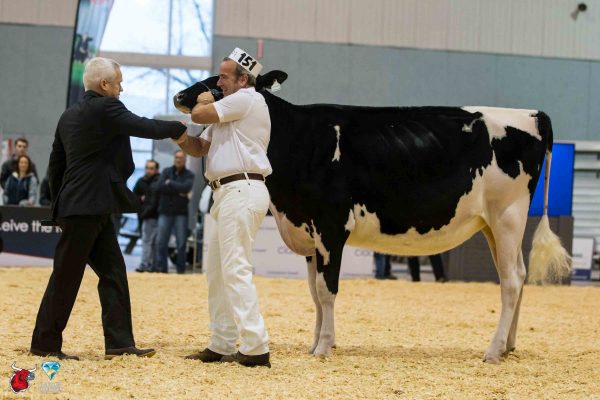 MILKSOURCE SID DESIRE Junior Champion Le Suprême Laitier - Supreme Dairy Velthuis