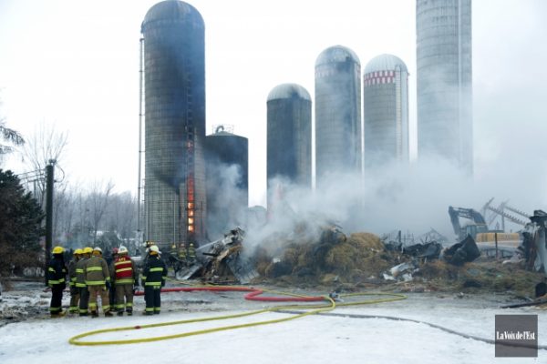 1319349-160-vaches-ferme-janibert-peri1